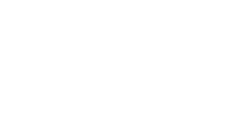 DFB_Logo